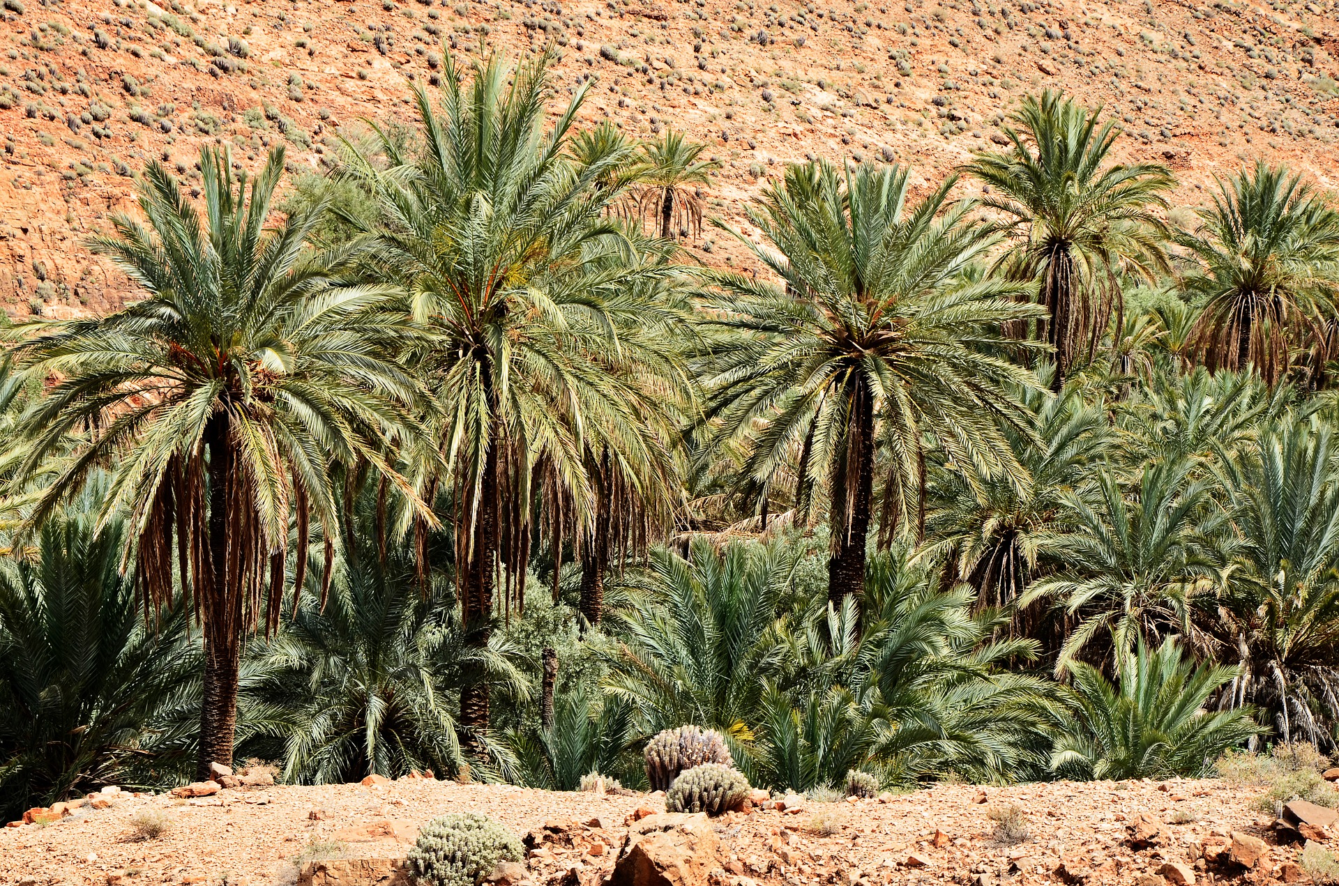 moroccotourscompany.com 7 days tour from Casablanca to Marrakech