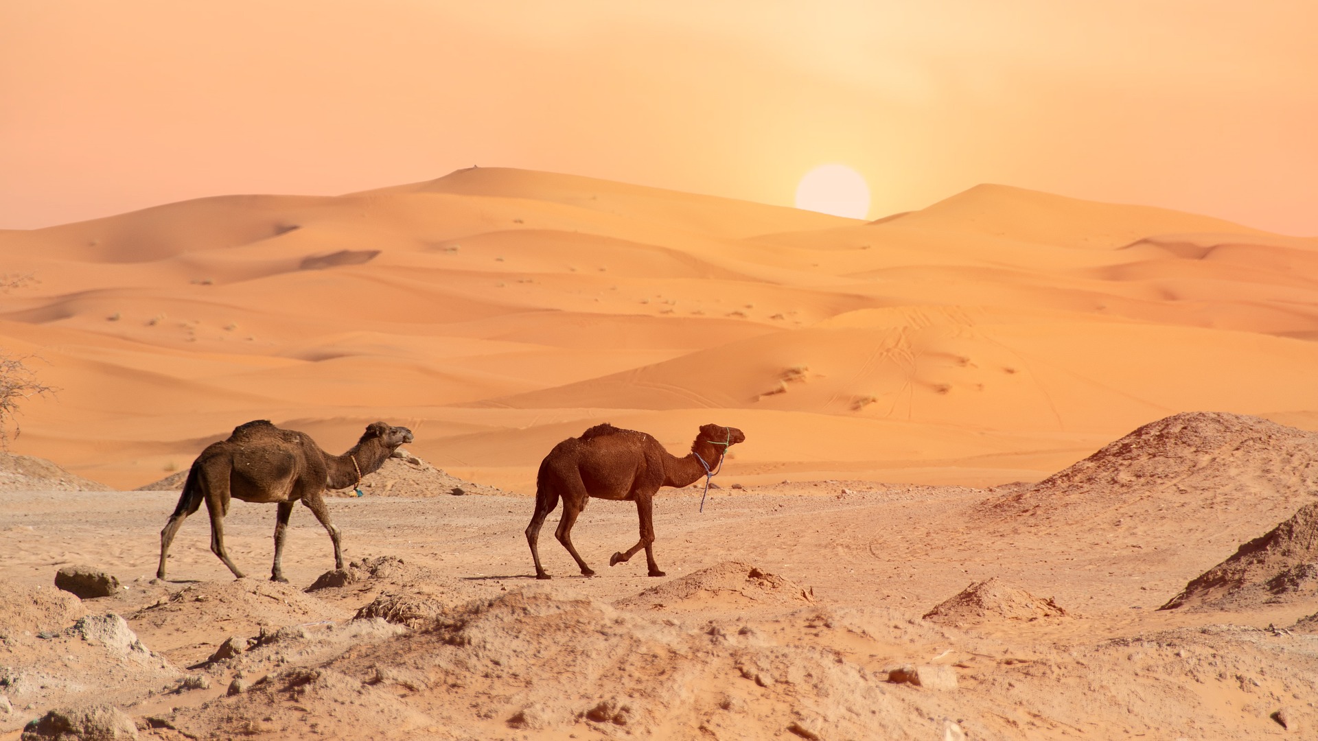 moroccotourscompany.com 3 days tour from Marrakech to Fes