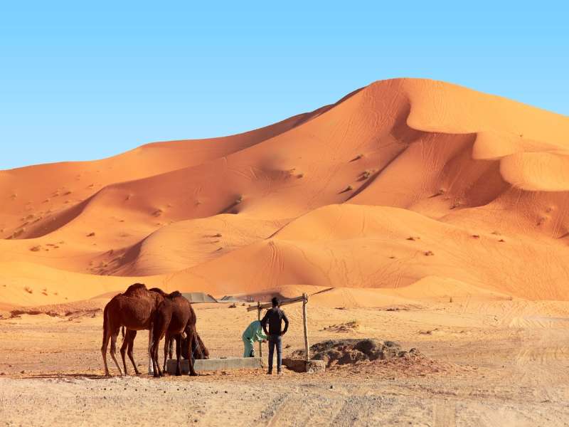 desert-4992505_1280 (3)-fotor-2025030592052 5 days desert tour from Marrakech