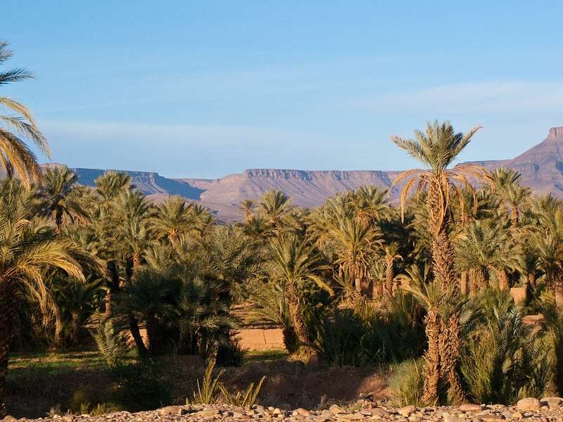 2 days tour from Marrakech to Zagoura