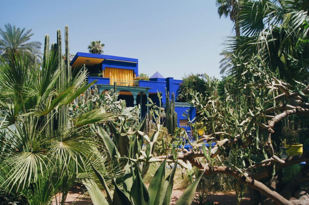 pexels-nicole-ashley-rahayu-densmoor-3632088-5435195-min-1024x681 10 days tour from Tangier to Marrakech