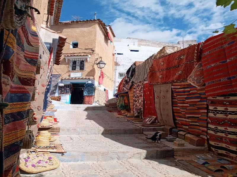 7 days tour from Casalanca to Marrakech