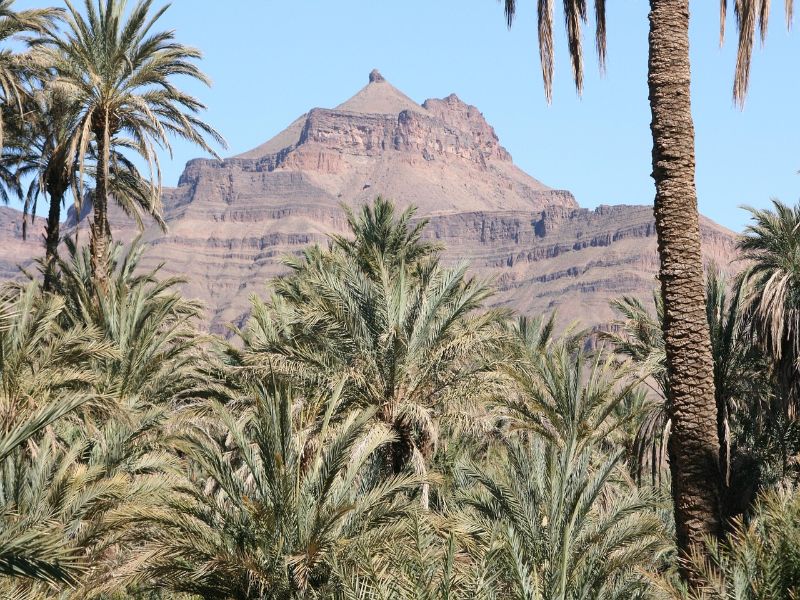 5 days tour from Fes to Marrakech 5 days tour from Fes to Marrakech