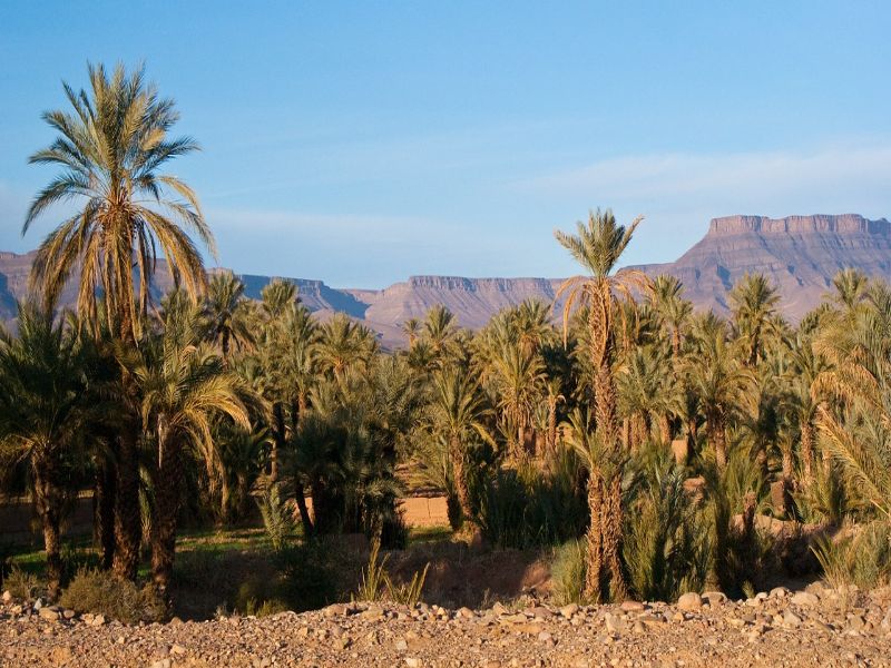 FB_IMG_1611624896424 5 days from Fes to Marrakech