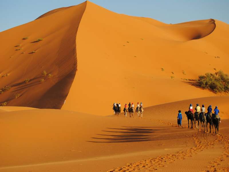 graphe-tween-Zqp2R3CjQLk-unsplash-fotor-2025012613307 5 days from Fes to Marrakech