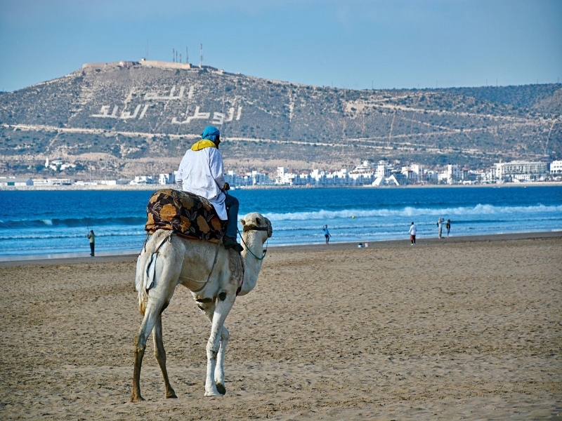 Taroudant
