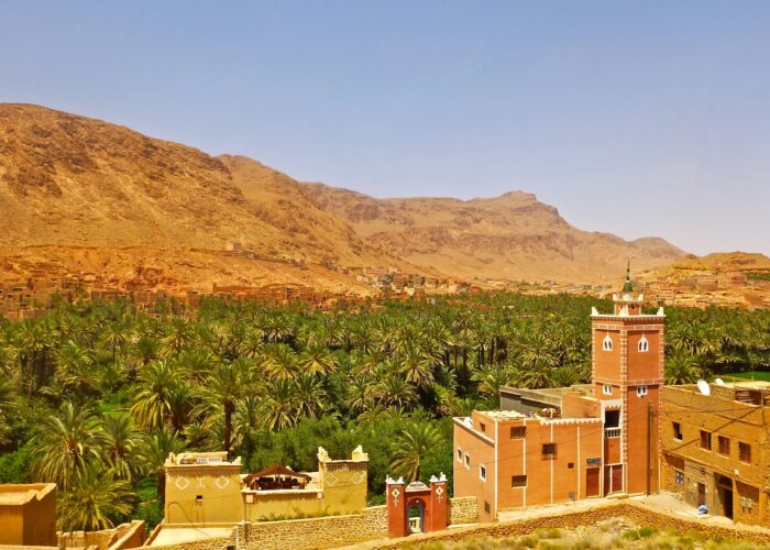 8 days tour from Casablanca to Marrakech