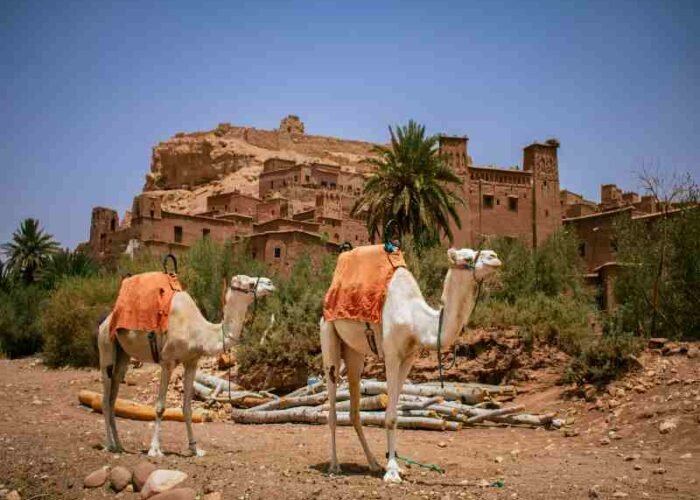 2 Days Desert Tour from Marrakech to Zagora