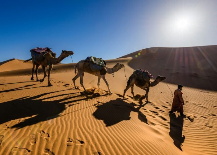 3 Days Tour from Fes to Marrakech