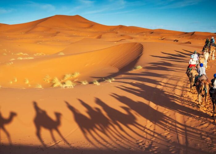 13 days tour from Casablanca to Marrakech
